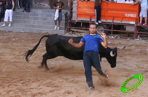 Alpartir (Zaragoza) 21-06-2009 Ganaderia "El Ruiseñor" (Frescano) 3656798734_dd81a80e9b