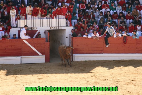 Arnedo 20-03-09 Ganaderia Manuel Merino 3378478321_6ceb4f5b60