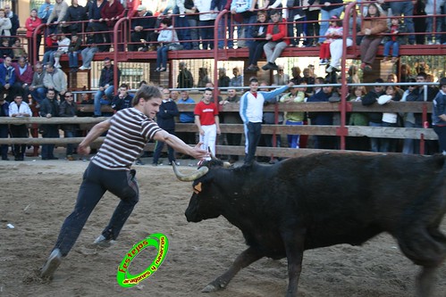 Luceni (Zaragoza) Ganaderia Jose Luis Cuartero 1-05-2009 3504466139_bda2ed65c6