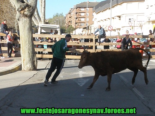 Arnedo 20-03-09 Ganaderia Manuel Merino 3378458767_6198cef1df