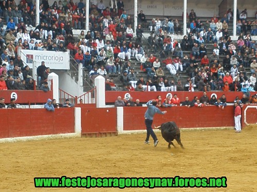 Calahorra domingo 01 - 03 - 2009 Ganaderia German Vidal 3321631349_629f1d92e1