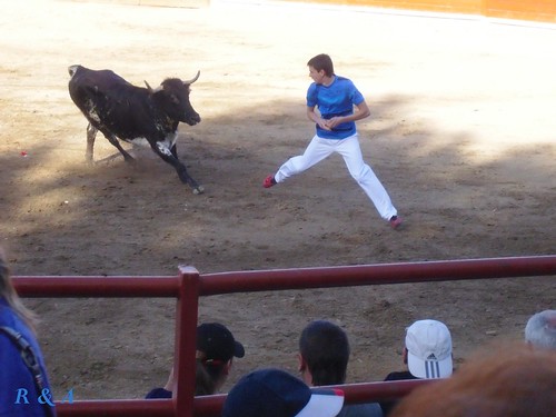 El Burgo de Ebro (Zaragoza). Concurso de Anillas con Reses de la Ganadería de Hnos. Ozcoz, de Fuentes de Ebro 3480085161_7c2695c514