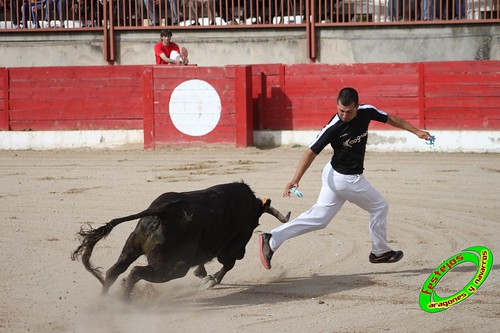 Concurso de recortadores de Pina de Ebro (Zaragoza) 9-05-2010 ganaderia Hnos Ozcoz (Fuentes de Ebro, Zaragoza) 4596268870_c126a572b8