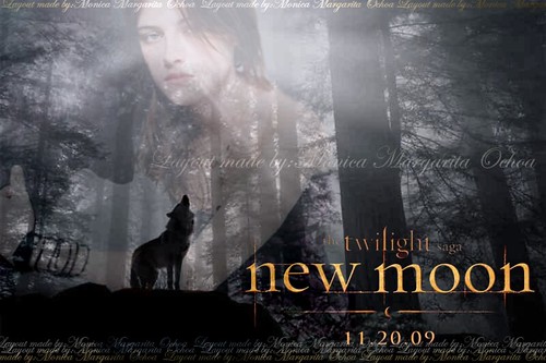     New Moon    Twilight 3322167619_1fbcbc632f