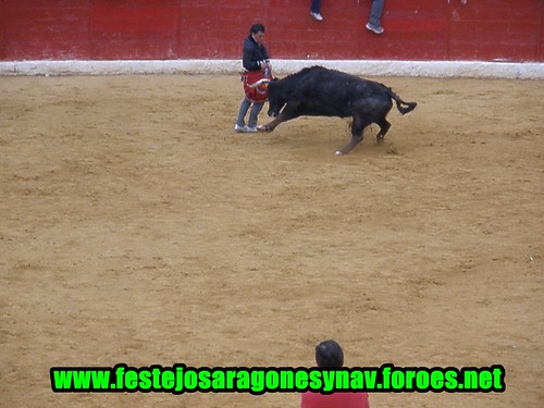 Calahorra domingo 01 - 03 - 2009 Ganaderia German Vidal 3319497349_d989f10fda