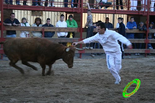 Luceni (Zaragoza) Ganaderia Jose Luis Cuartero 1-05-2009 3504370323_39afcd7dc1