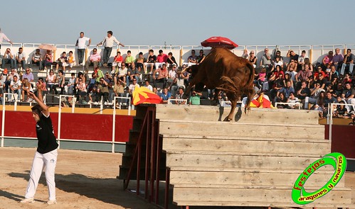 Borja (Zaragoza) desafio de ganaderias Murillo Conde (Tauste, Zaragoza) y Jose Arriazu e hijos (Ablitas, Navarra) 3965925554_3956e57470