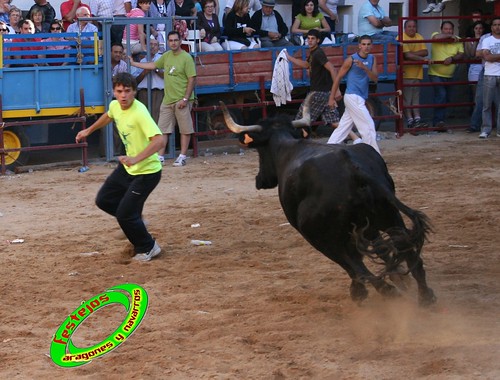 Alpartir (Zaragoza) 21-06-2009 Ganaderia "El Ruiseñor" (Frescano) 3656013201_f6c1e76392