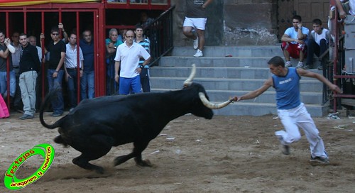 Alpartir (Zaragoza) 21-06-2009 Ganaderia "El Ruiseñor" (Frescano) 3656810578_791a1ccf8b