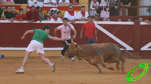 Tudela (Navarra) 26-07-2009 Ganaderia Ustarroz (Arguerdas, Navarra) 3766402416_9a39826928