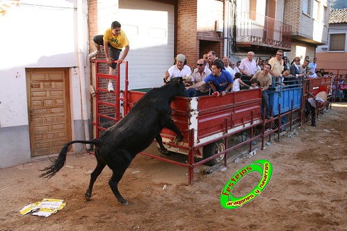 Alpartir (Zaragoza) 21-06-2009 Ganaderia "El Ruiseñor" (Frescano) 3656806968_0619bc89a9