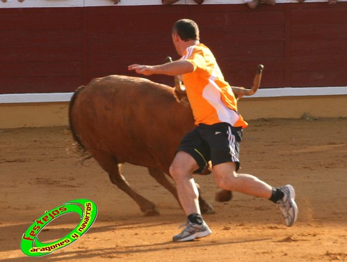 Tudela (Navarra) 26-07-2009 Ganaderia Ustarroz (Arguerdas, Navarra) 3765576893_7d5ba4ee5f