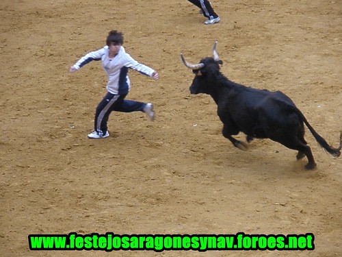 Calahorra domingo 01 - 03 - 2009 Ganaderia German Vidal 3320303174_f3954d0a61