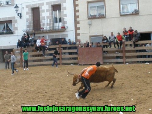 Villatuerta (Navarra) Ganaderia Miguel Reta 7 - 03 - 2009 3339133732_384157419b