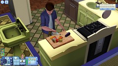 Varias: Objetos de la Tienda de EA para los Sims 3, fotos y videos 3542357210_af59771cba_m