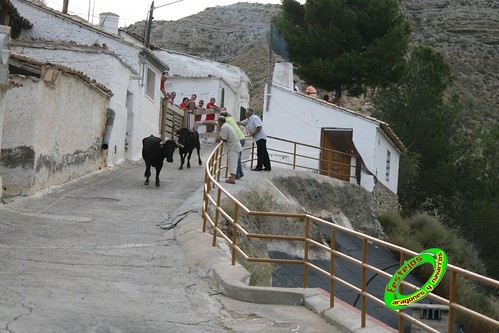 Encierro Remolinos (Zaragoza) 3639538054_35d3583f8f