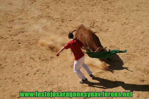 Arnedo 21-03-2009 Ganaderia Manuel Merino 3382142346_61555d0a23