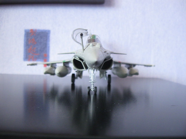 Rafale C de Hobby Boss 5759140472_5be67437ba_z