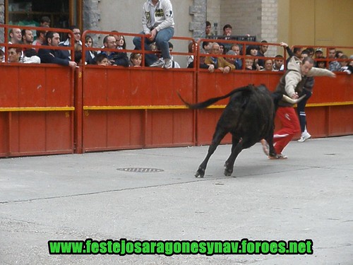 Quinto de Ebro 12-04-2009 Ganaderia Hnos. Oliva (Quinto de ebro) 3446876697_68628c151a