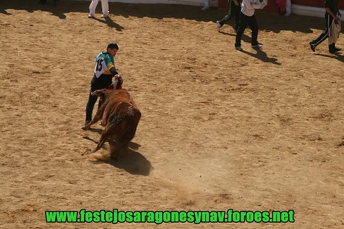 Arnedo 20-03-09 Ganaderia Manuel Merino 3379293756_7660139d51