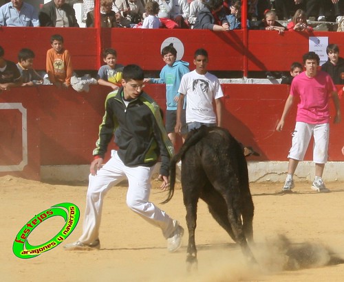 Alfaro (La Rioja) 16-05-2009 Ganaderia Martinez- Pascual (Alfaro) 3548685288_250bc734ec