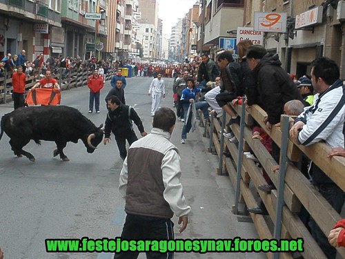 Calahorra domingo 01 - 03 - 2009 Ganaderia German Vidal 3322435454_27b75e2cef