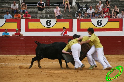 Concurso de roscaderos Ejea de los Caballeros (Zaragoza) 27-06-2009 ganaderia Pedro Dominguez (Funes, Navarra) 3678530281_19088d4287