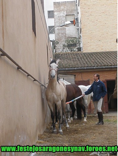 Calahorra domingo 01 - 03 - 2009 Ganaderia German Vidal 3322484726_914ffc5bcf