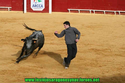 Lodosa (Navarra) Ganaderia Eulogio Mateo de Carcar 3417185181_28bec1d619