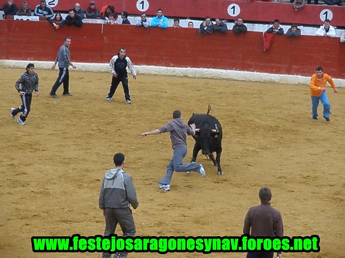 Calahorra domingo 01 - 03 - 2009 Ganaderia German Vidal 3320288648_efdb018ec8