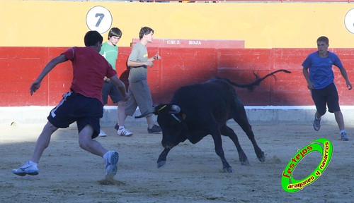 Alagon (Zaragoza) Desencajonada y vacas encintadas Ganaderia de Jose Luis Cuartero (Pradilla de Ebro) 11-6-2009 3628810870_b4676c21a7