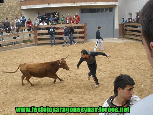 Villatuerta (Navarra) Ganaderia Miguel Reta 7 - 03 - 2009 3339172300_bd23a34277