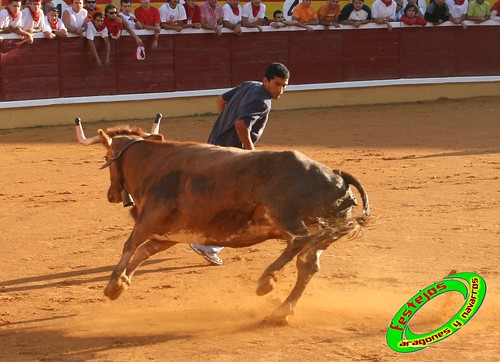 Tudela (Navarra) 26-07-2009 Ganaderia Ustarroz (Arguerdas, Navarra) 3765572491_ae320c4853