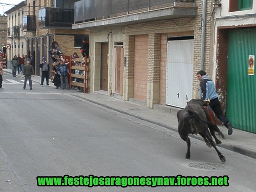 Castejon (Navarra) 28-03-2009 Ganaderia "El Ruiseñor" 3399134140_b18261f686