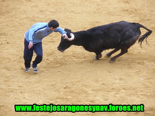 Calahorra domingo 01 - 03 - 2009 Ganaderia German Vidal 3319505173_b6273edb9c