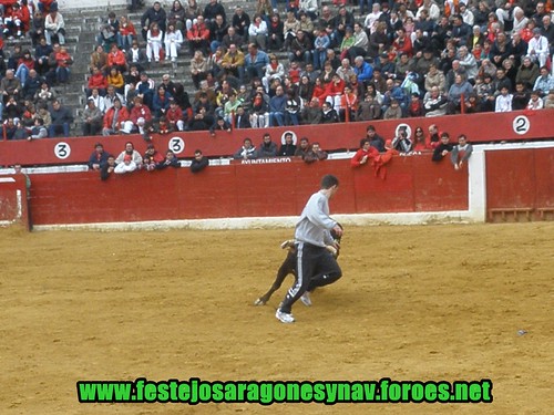 Calahorra domingo 01 - 03 - 2009 Ganaderia German Vidal 3322473332_97a496f2cb