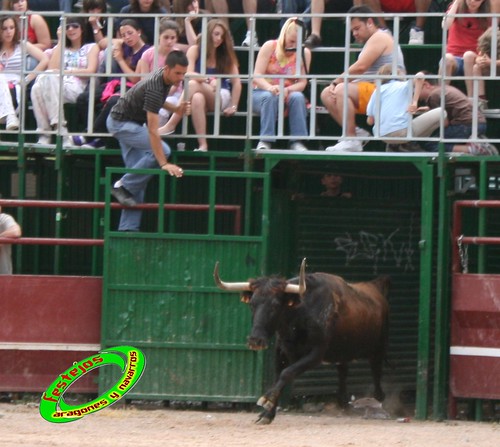 Concurso de ganaderias en Mores (Zaragoza) Francisco Murillo, Jose Antonio Murillo, Hnos. Joven Salas 3584533599_0ef5668729