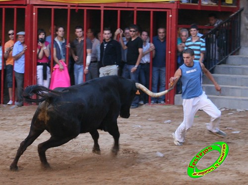 Alpartir (Zaragoza) 21-06-2009 Ganaderia "El Ruiseñor" (Frescano) 3656801062_d21b801d5a