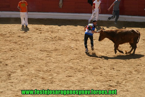 Arnedo 20-03-09 Ganaderia Manuel Merino 3378509337_1649623d40