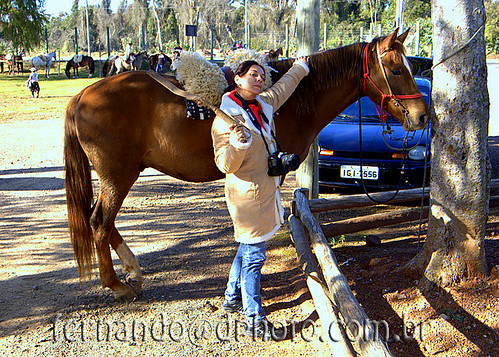 Paparazzi na III Cavalgada Ecológica