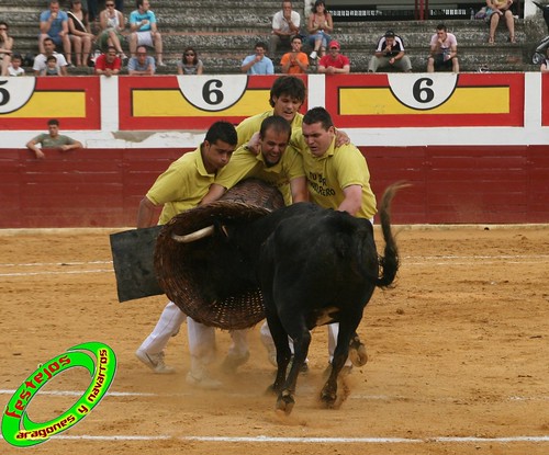 Concurso de roscaderos Ejea de los Caballeros (Zaragoza) 27-06-2009 ganaderia Pedro Dominguez (Funes, Navarra) 3679328932_e59f6fbb1d