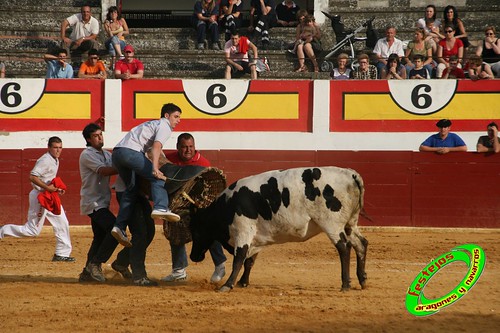 Concurso de roscaderos Ejea de los Caballeros (Zaragoza) 27-06-2009 ganaderia Pedro Dominguez (Funes, Navarra) 3681250386_ea096edb9b