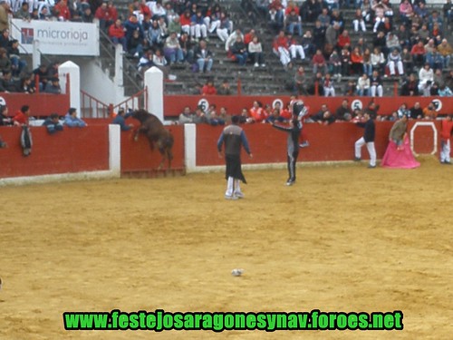 Calahorra domingo 01 - 03 - 2009 Ganaderia German Vidal 3321650907_0e2380230b