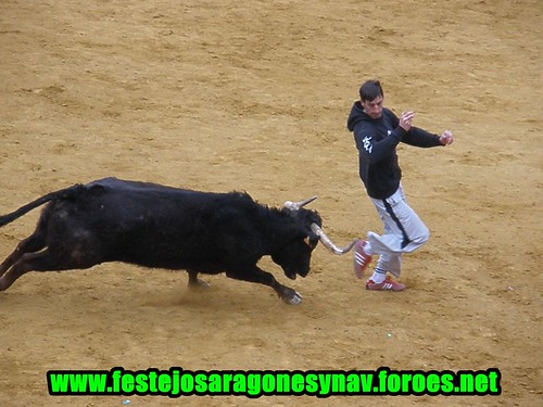 Calahorra domingo 01 - 03 - 2009 Ganaderia German Vidal 3319490047_7791ae33d3