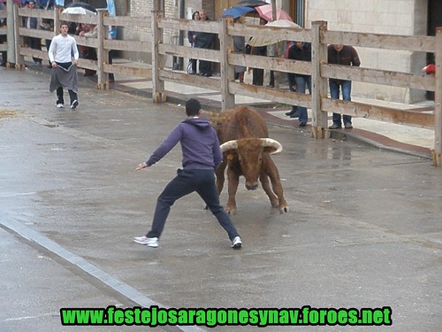 Arguedas (Navarra) 11-04-2009 tarde Ganaderia Ustarroz 3435801406_de25290102