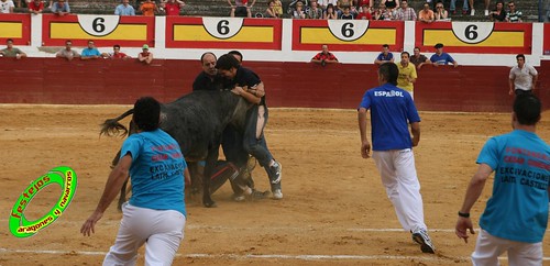 Concurso de roscaderos Ejea de los Caballeros (Zaragoza) 27-06-2009 ganaderia Pedro Dominguez (Funes, Navarra) 3679741372_7a1a705210