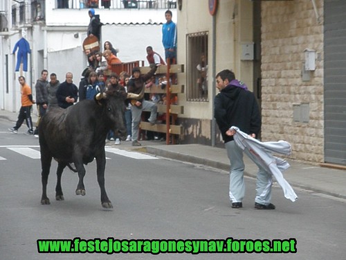 Castejon (Navarra) 28-03-2009 Ganaderia "El Ruiseñor" 3398305197_840c4b7f3c