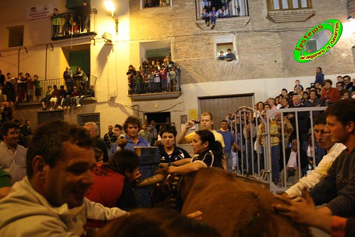 Ainzon (Zaragoza) 6-06-2009 emboladoras de  Aragon y Navarra, Ganaderia "El Ruiseñor" (Frescano, Zaragoza) 3612785499_8b69b6f381