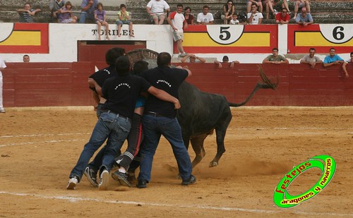 Concurso de roscaderos Ejea de los Caballeros (Zaragoza) 27-06-2009 ganaderia Pedro Dominguez (Funes, Navarra) 3679730052_8972f17a16