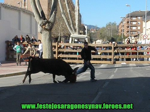 Arnedo 20-03-09 Ganaderia Manuel Merino 3378412585_6e81bb63b5